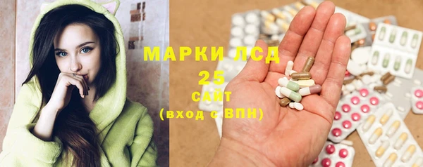 хмурый Елизово