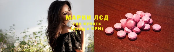 прущие грибы Зеленодольск