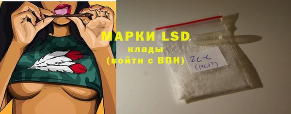 твердый Заводоуковск