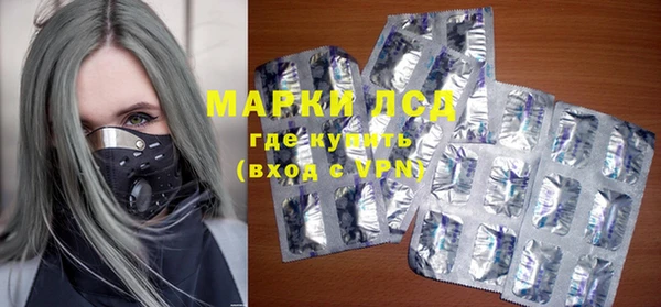 трава Ельня