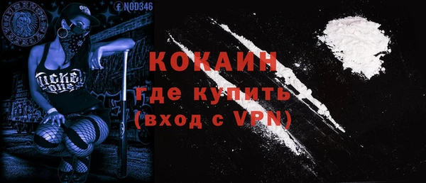 твердый Заводоуковск
