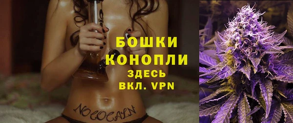 крисы Осташков
