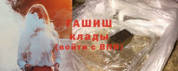 хмурый Пересвет