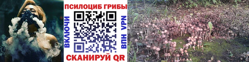 даркнет клад  Пущино  Галлюциногенные грибы MAGIC MUSHROOMS 